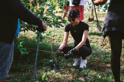 PMAP-Tree-Planting-06 PMAP-Tree-Planting-06